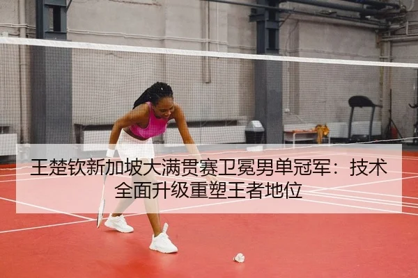 wang-chu-qin-xin-jia-po-da-man-guan-sai-wei-mian-nan-dan-guan-jun-ji-shu-quan-mian-sheng-ji-zhong-su-wang-zhe-di-wei-2-392.jpg